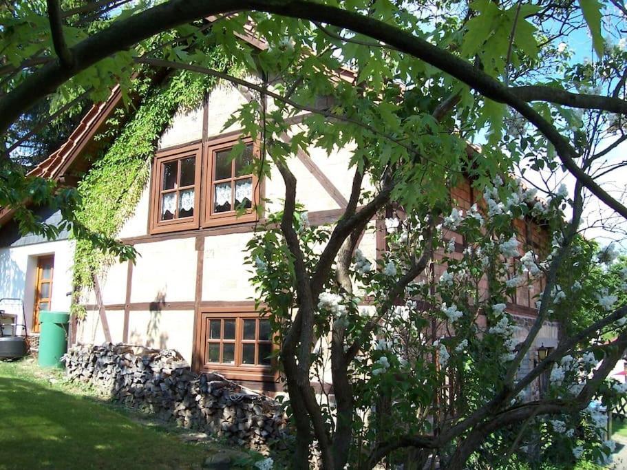 Ferienhaus Harz Villa Allrode Exterior photo